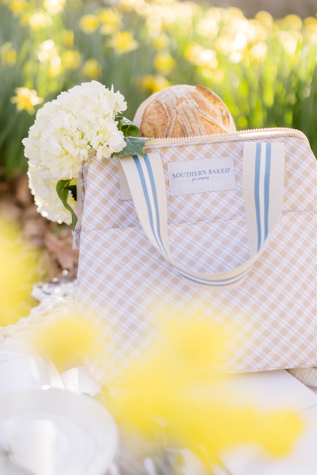 Picnic Day Essentials