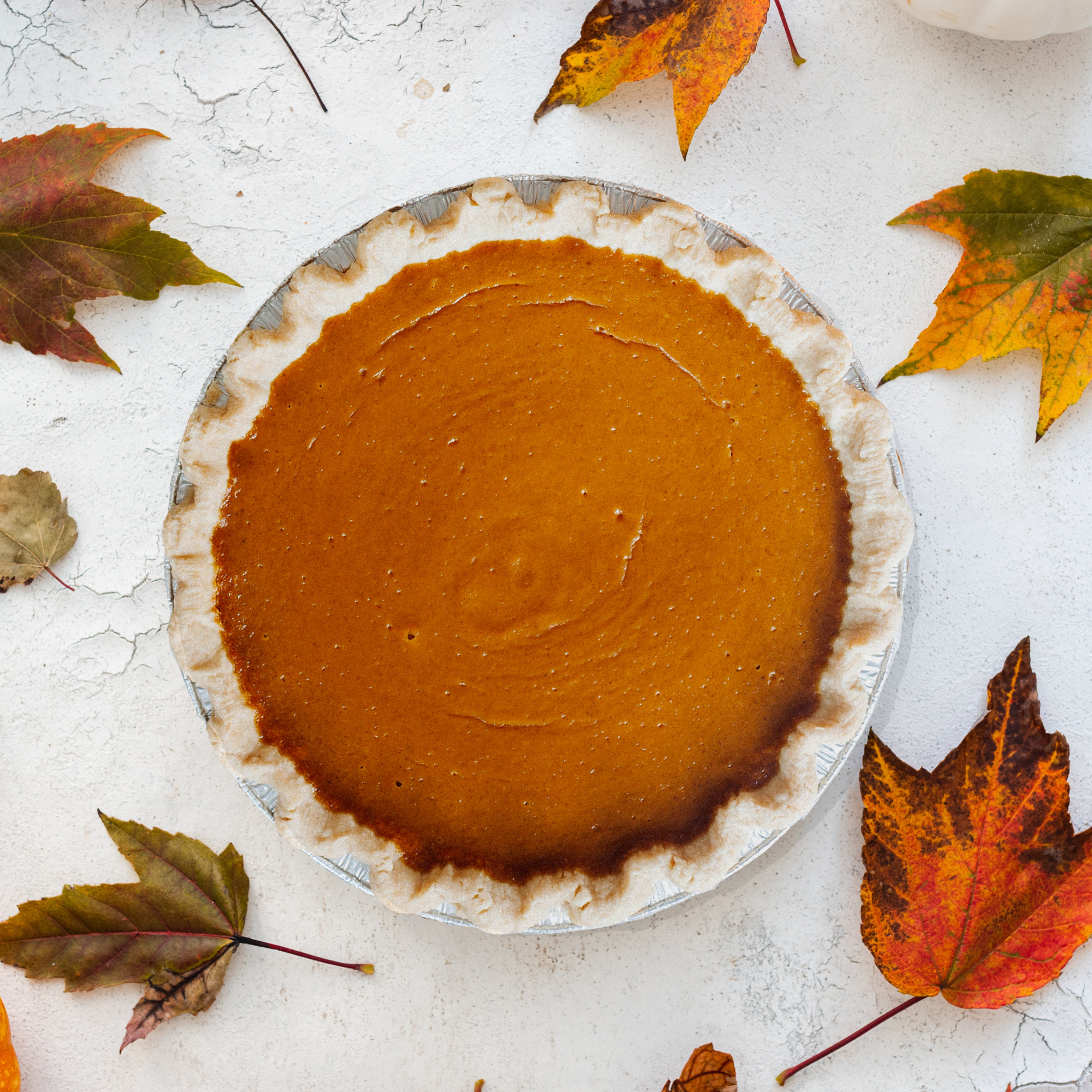 The Maine Pie 9 Inch Ready To Bake Pie Shells, 14 Ounce -- 10 Per Case